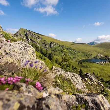 Шале Falkert-huette „beim Almoehi