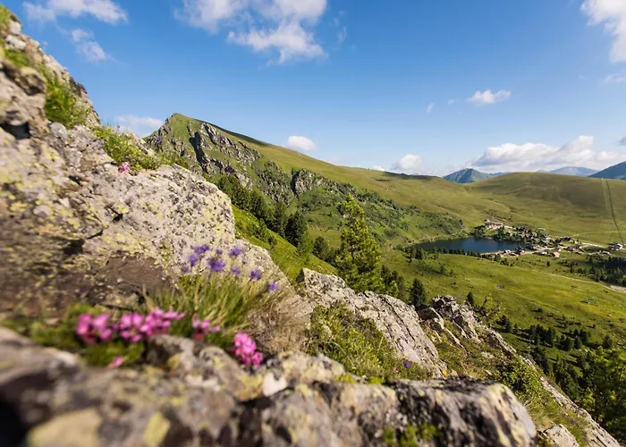 Chalet Falkert-huette „beim Almoehi